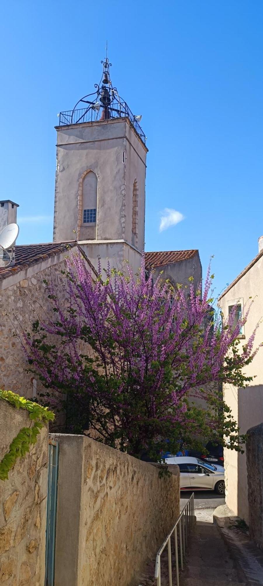 Ferienhaus La Capelle Des Corbieres Sigean Narbonne Aude Roquefort-des-Corbières